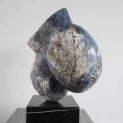 Blauwe tors, sodaliet