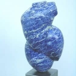 Blauwe tors, sodaliet